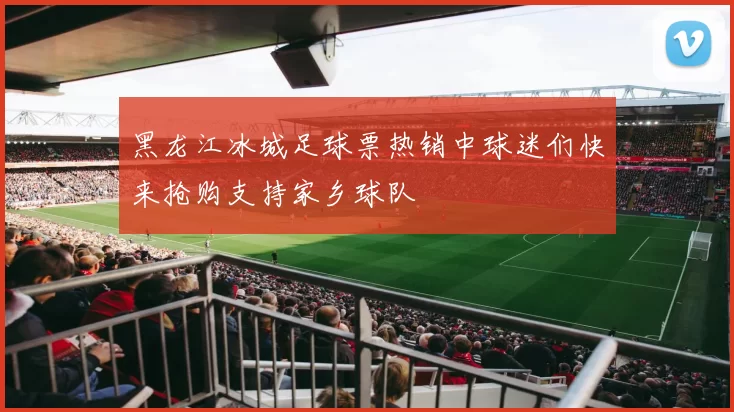 黑龙江冰城足球票热销中球迷们快来抢购支持家乡球队
